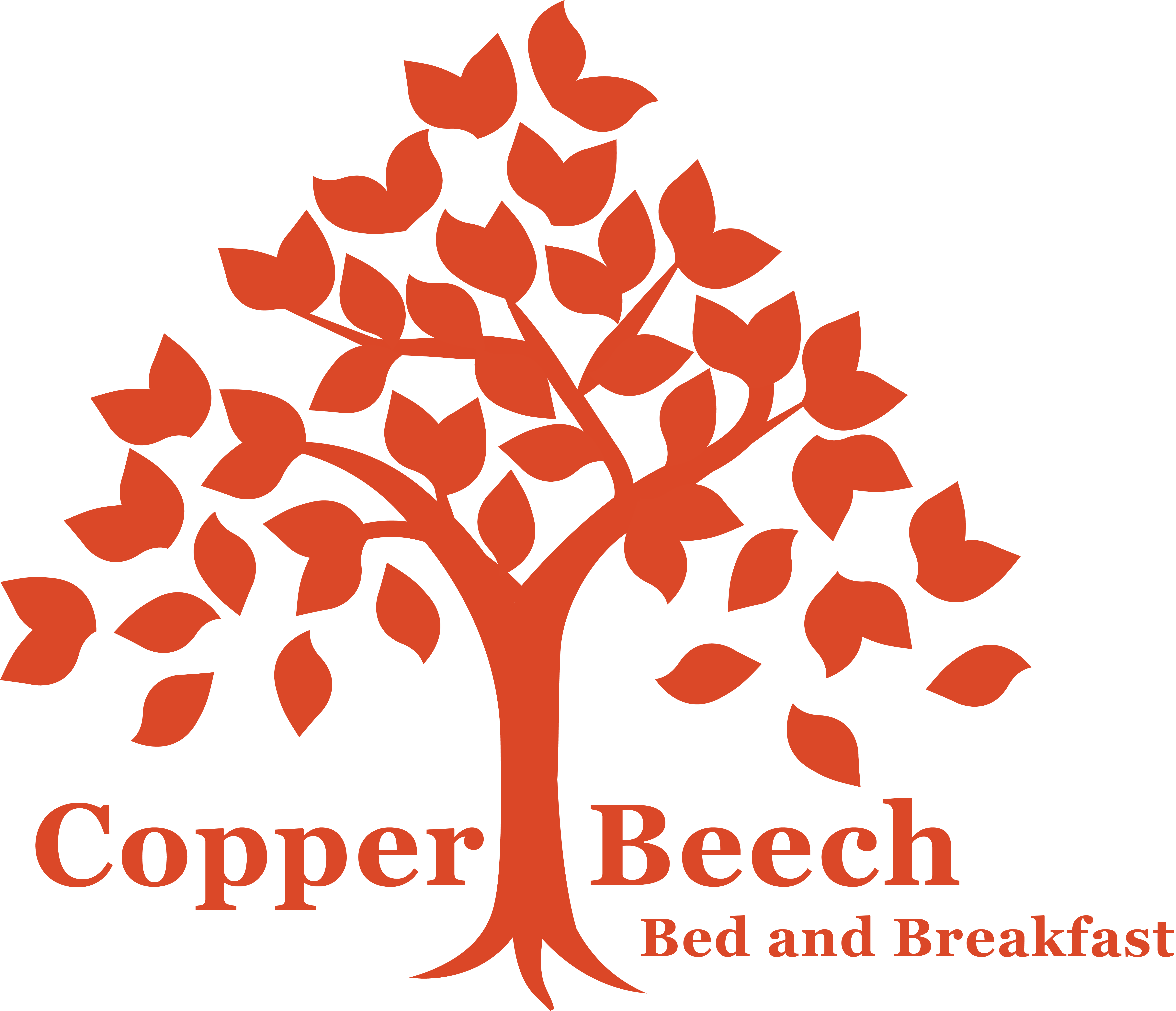 The CopperBeech Tree